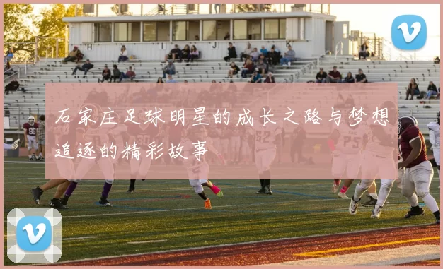 石家庄足球明星的成长之路与梦想追逐的精彩故事
