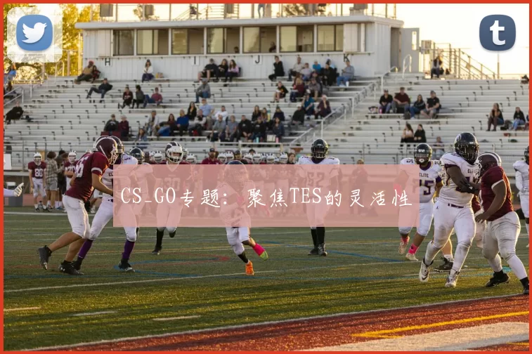 CS_GO专题：聚焦TES的灵活性