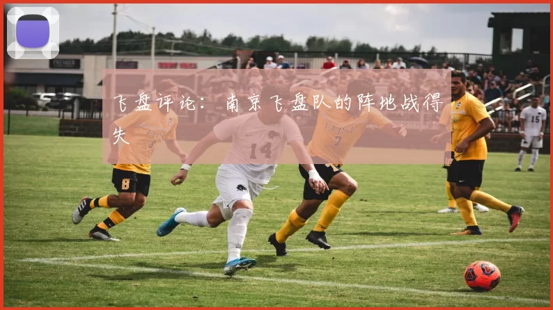 飞盘评论：南京飞盘队的阵地战得失
