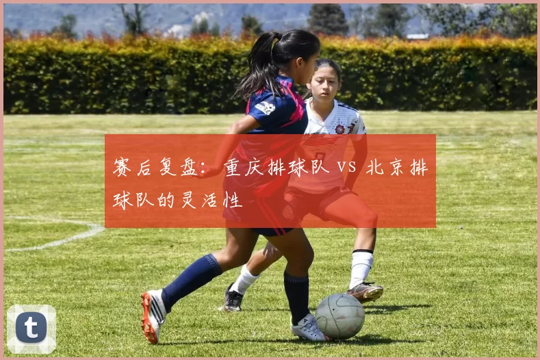 赛后复盘：重庆排球队 vs 北京排球队的灵活性